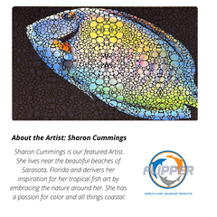 Flipper Aquarium Mat with Tang Artwork