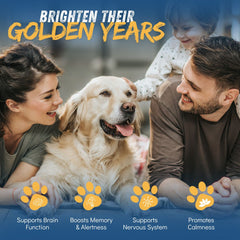 CogniCaps - Canine Cognitive Function Supplement for Dogs