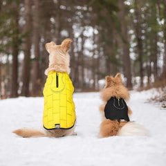 Reversible Loft Dog Jacket – Water-Resistant, Black/Yellow (Medium)