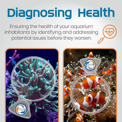 DeepSee Viewer Clear 4"