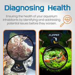 DeepSee Viewer Black 4"