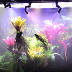 360° Adjustable Reptile Misting Nozzle
