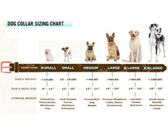 Pro Line Hunting Leather Collar and Leash Set