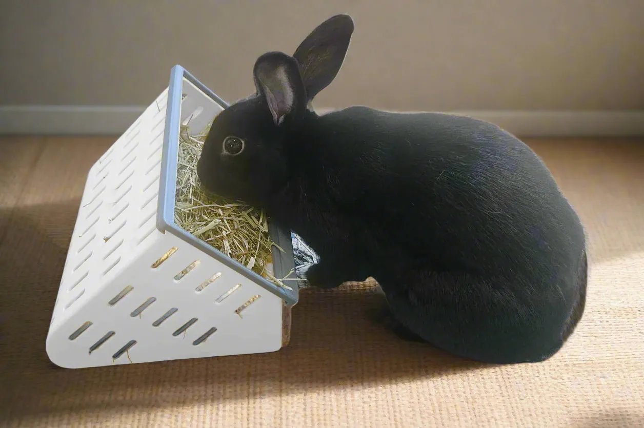 The Open Air Hay Feeder