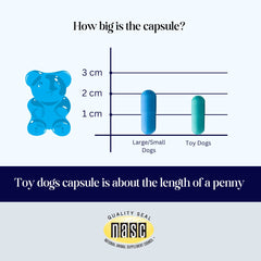 CogniCaps - Canine Cognitive Function Supplement for Dogs