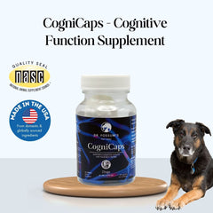 CogniCaps - Canine Cognitive Function Supplement for Dogs