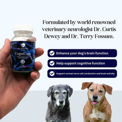 CogniCaps - Canine Cognitive Function Supplement for Dogs