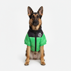 Highlander Insulated Dog Jacket – Green