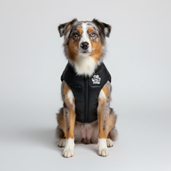 ThermaPuffer Dog Vest – Black