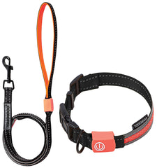 Touchdog® Lumiglow 2-in-1 LED Dog Leash & Collar – USB Rechargeable