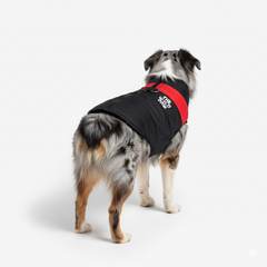 Wilderness Shield Dog Vest – Black
